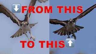 Do you want sharp photos every time? 10 Tips to improve sharpness in 2025