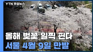 올해 벚꽃도 일찍 핀다...서울 4월 9일 만발 / YTN