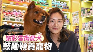 東京奧運│謝影雪攜愛犬出席活動 鼓勵領養代替購買