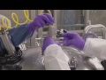 bioprocessing part 2 separation recovery