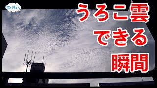 うろこ雲があっという間に空一面に広がる【空の変化を楽しむ】Cirrocumulus spreads all over the sky in a blink of an eye