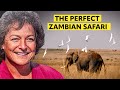Zambia Safari 2026: Planning, Logistics & Walking Prep