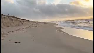 Urlaub mit Hund auf Sylt - hundefreundliche Ferienwohnung oder Ferienhaus auf hundeurlaub.de