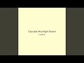 Cascade Moonlight Dream