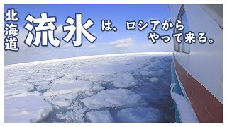 【北海道旅行】北海道の『流氷』を観に行ったら美しすぎて「ヤバい」しか言えなかった。【網走 砕氷船おーろら】