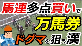 【万馬券】馬連多点買いで万馬券勝負！今日も的中できるか！？