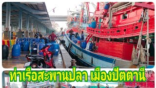 บรรยากาศ ท่าเรือสะพานปลา แม่น้ำปัตตานี คึกคักแค่ไหน