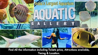 Aquatic Gallery Science City Ahmedabad Gujarat | India's Largest Public Aquarium | Underwater World🐬