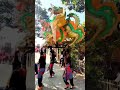 Aksi Atraksi Singa Barong Niko Putra #shorts #videoviral