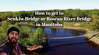 How to get to Senkiw Bridge or Roseau River Swinging Bridge in Manitoba