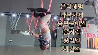 온더해먹 나무자세 승모근이완 몽키락 팅커벨 시퀀스 [요가꿈나무](플라잉요가,flyingyoga,aerialyoga)