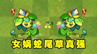 植物大战僵尸2：捏小人的女娲蛇尾草，整体实力都很强？#豌豆射手 #单机游戏 #植物大战僵尸