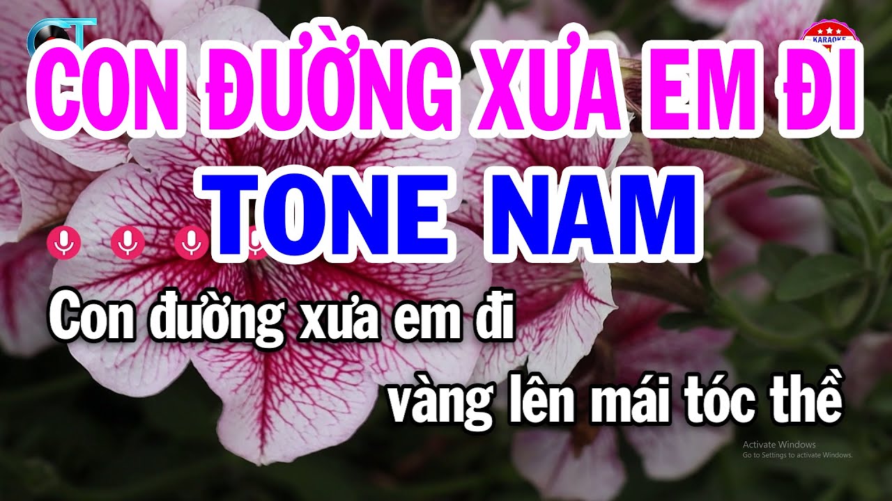 Karaoke Con Đường Xưa Em Đi Tone Nam ( Bm ) Nhạc Sống Hay 2024 | Đại Lý ...