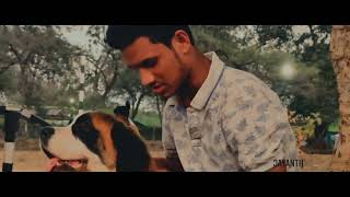 Mr Karthik Full Video Songs || Pichi Pichi Parugulemito St. Bernard version Video Song || Dhanush.