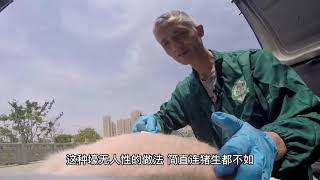 大连宝马车事件侧底结束了，广州的后续情况有知道的吗？