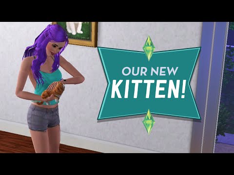OUR NEW KITTEN - Sims 3 Ever After Ep.41 OUR NEW KITTEN - Sims 3 Ever After Ep.41