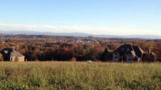 Fall Colors from Farragut's Bridgemore neighborhood