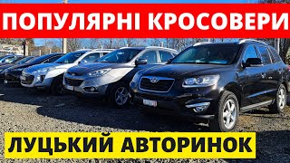 ЦІНИ НА ПОПУЛЯРНІ КРОСОВЕРИ / ЛУЦЬКИЙ АВТОРИНОК / 13.02.25р. #колоритмоторс #автопідбір #кросовери