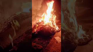 புகையில்லா போகி கொண்டாடுவோம் போகி நல்வாழ்த்துக்கள்#bogi #fire #deepana #tamil #home