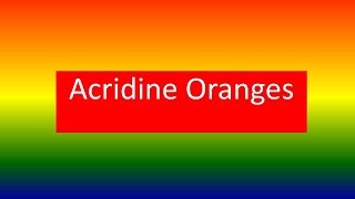 Acridine Oranges