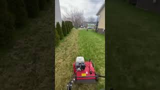 Dethatching the lawn #lawncare #lawn #grass #powerrake #dethatcher #lawncareservice