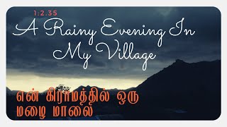 A Rainy Evening In My Village (1:2.35) with Lumix S1H | என் கிராமத்தில் ஒரு மழை மாலை