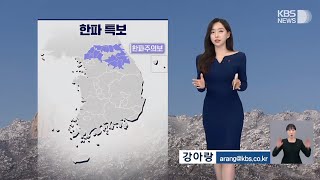 [날씨]뉴스9 강아랑기상캐스터 241217