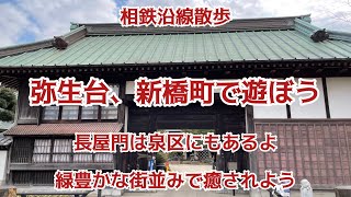 相鉄沿線散歩　弥生台、新橋町で遊ぼう