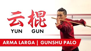 Técnicas GUNSHU PALO | YunGun 云棍