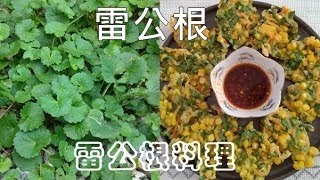 很多人在問雷公根的吃法，現在就教你。雷公根料理：懷舊麵粉糊Pennywort Pancake