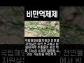 비만억제 약초 들어보셨나요 shorts