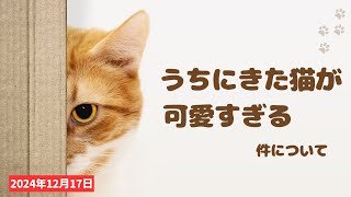 まだ生きてる？突然現れた猫の救出劇！その結末とは・・・