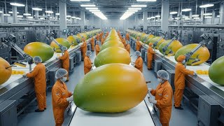 Inside a modern mango processing plant: From farm to delicious Mango slice (The Whole Process)