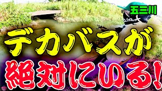 絶対デカバスがいる所を狙いまくる！！！【五三川】【バス釣り】【シャーベットヘアーチャンネル】