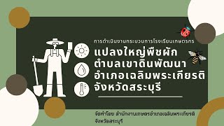 การดำเนินงานกระบวนการโรงเรียนเกษตรกร แปลงใหญ่พืชผัก ตำบลเขาดินพัฒนา อำเภอเฉลิมพระเกียรติ จ.สระบุรี