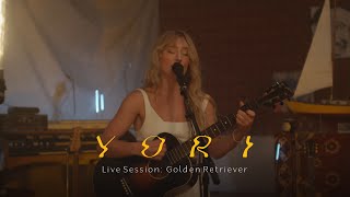 Yori - Golden Retriever (Live Sessions)