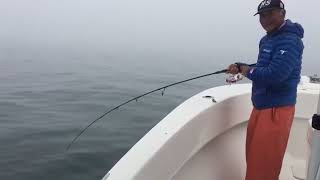 seabass jigging using 6'8\