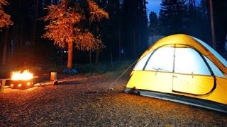 TS: Chief Ephraim - What's In Your Tent⁉️ ⛺ (Feast Of Tabernacles) 🏕️