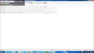 Creating a Bitmap File Using a Hex Editor
