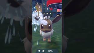 イーブイ Eevee【ポケモンSV】