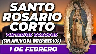 ROSARIO CORTO 1 DE FEBRERO (SIN ANUNCIOS INTERMEDIOS) 🌷 Misterios Gozosos 🙏