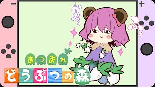 【朝活/あつ森】日曜日のカブ調達！6月イベントもやりたい♡【Vtuber/連続配信527日】