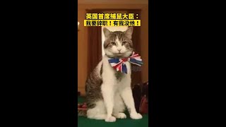 英国首席捕鼠大臣拉里猫我要辞职!有我没他！