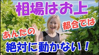 投資で勝てない人の思考回路と癖！【読者の方からのご質問】