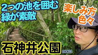 『石神井公園』東京都練馬区石神井台：二つの池周りの自然をたっぷり楽しむ！