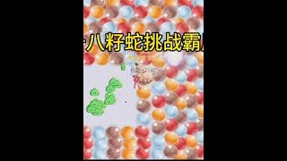 十八籽蛇挑战霸屏！#贪吃蛇大作战