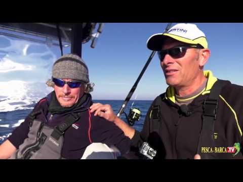 Dentici E Prai Col Calamaro Vivo Pesca Ladispoli Previsioni Meteo E