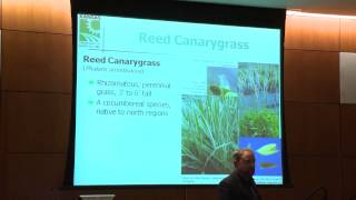 Scott Marsh, Invasive Horticultural Plants for Small Landscapes