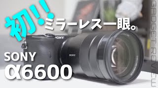 【レビュー】僕がα6600を選んだ理由。