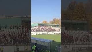 Cainii chemati la bataie dupa meciul Rapid-U Cluj